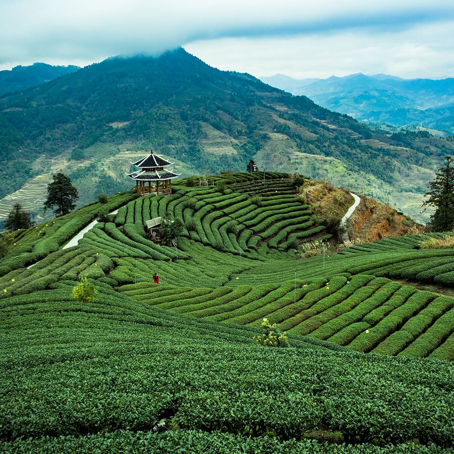 2018柳州旅游嘉年华已开启，油茶宴、侗歌大赛、半价景区门票......好戏连台，就等你来！