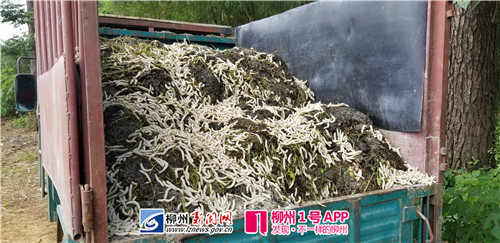 微信图片_20180519170921.jpg