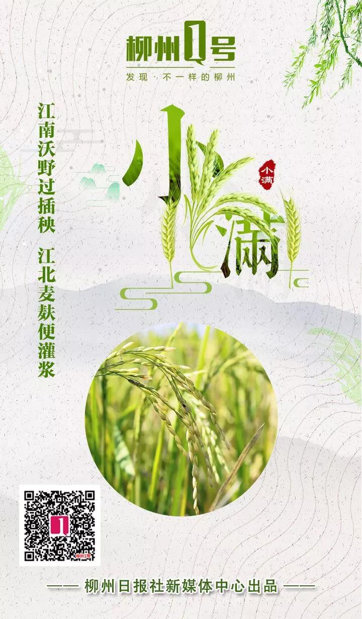 微信图片_20180521142329.jpg 微信图片_20180521142329.jpg