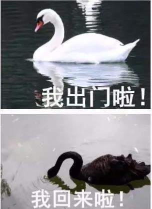 微信图片_20180523145847.jpg