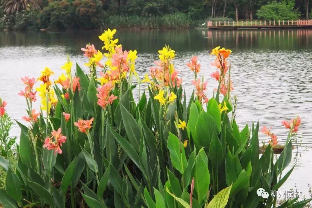 微信图片_20180524170226.jpg