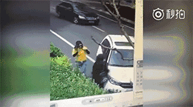 男子驾车故意碾压一女子，肇事逃逸后竟然跑上八楼一跃而下？！