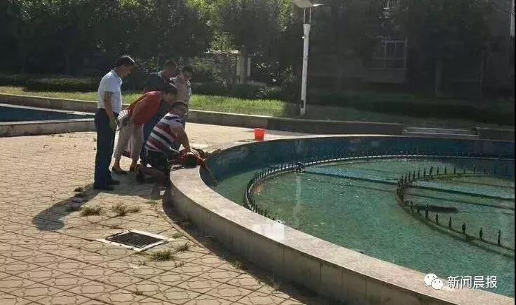 微信图片_20180527152509.jpg 微信图片_20180527152509.jpg