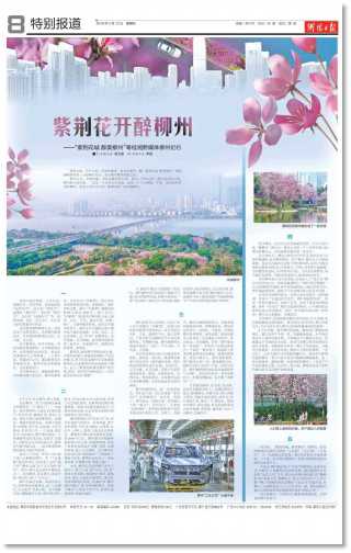 衡阳日报.jpg