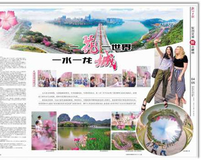 紫荆花城·醉美柳州|粤桂黔湘媒体把龙城最美容颜留在报纸版面！