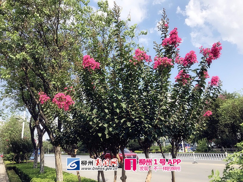 微信图片_20180531100856.jpg 微信图片_20180531100856.jpg