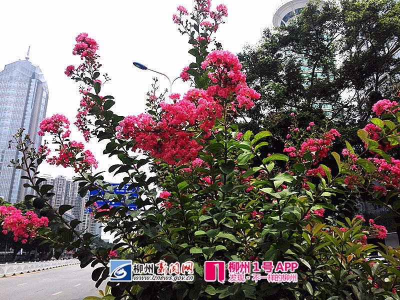 微信图片_20180531100859.jpg 微信图片_20180531100859.jpg