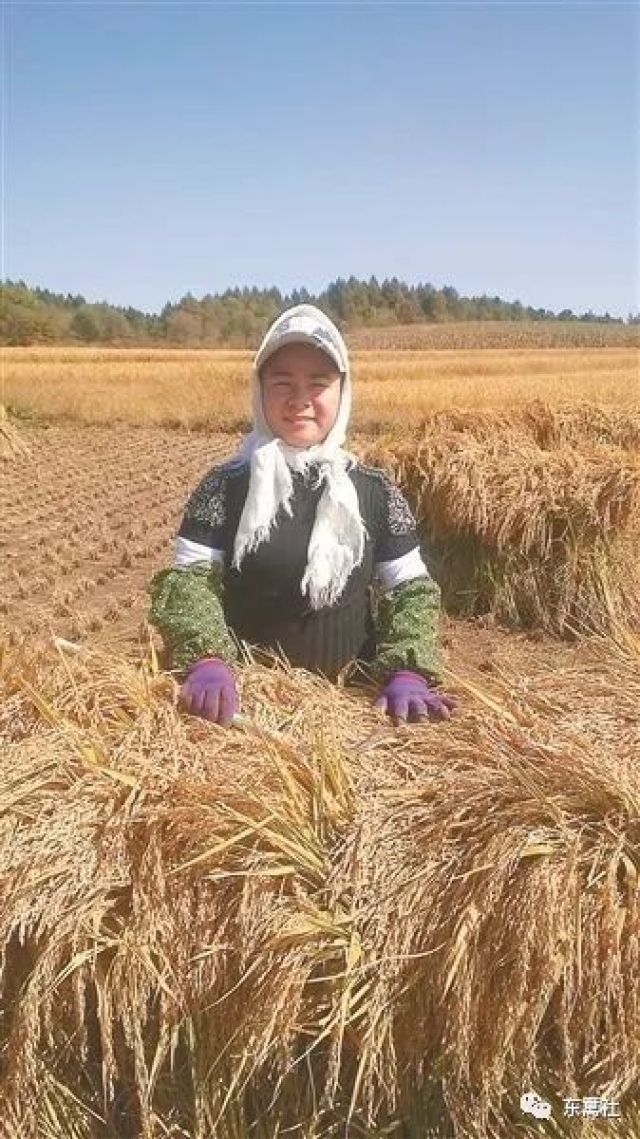 微信图片_20180531144005.jpg 微信图片_20180531144005.jpg