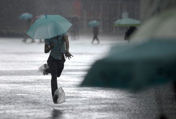 雨雨雨！未来三天我市阴雨天气为主，局部有暴雨