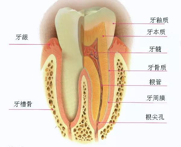 微信图片_20180602160310.jpg 微信图片_20180602160310.jpg