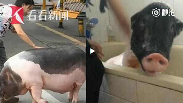 QQ截图20180603191518.jpg QQ截图20180603191518.jpg