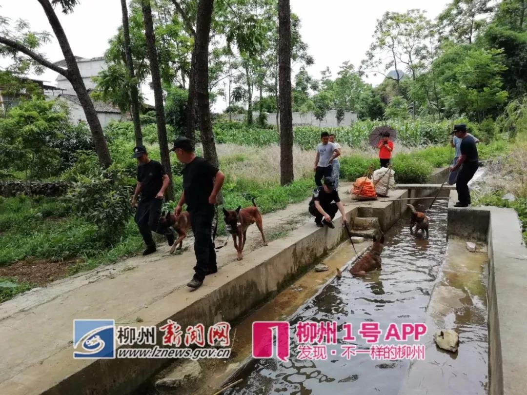 微信图片_20180605152240.jpg 微信图片_20180605152240.jpg