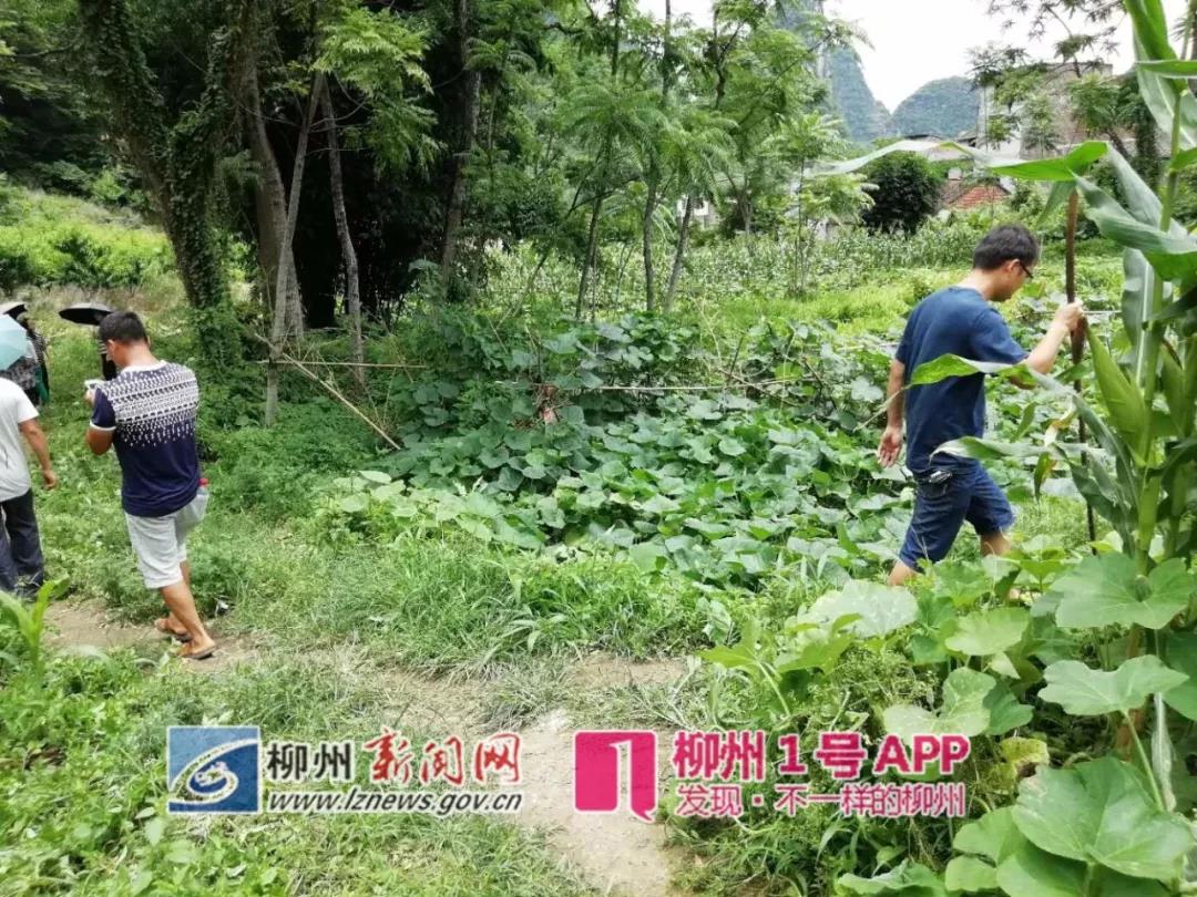 微信图片_20180605152247.jpg 微信图片_20180605152247.jpg