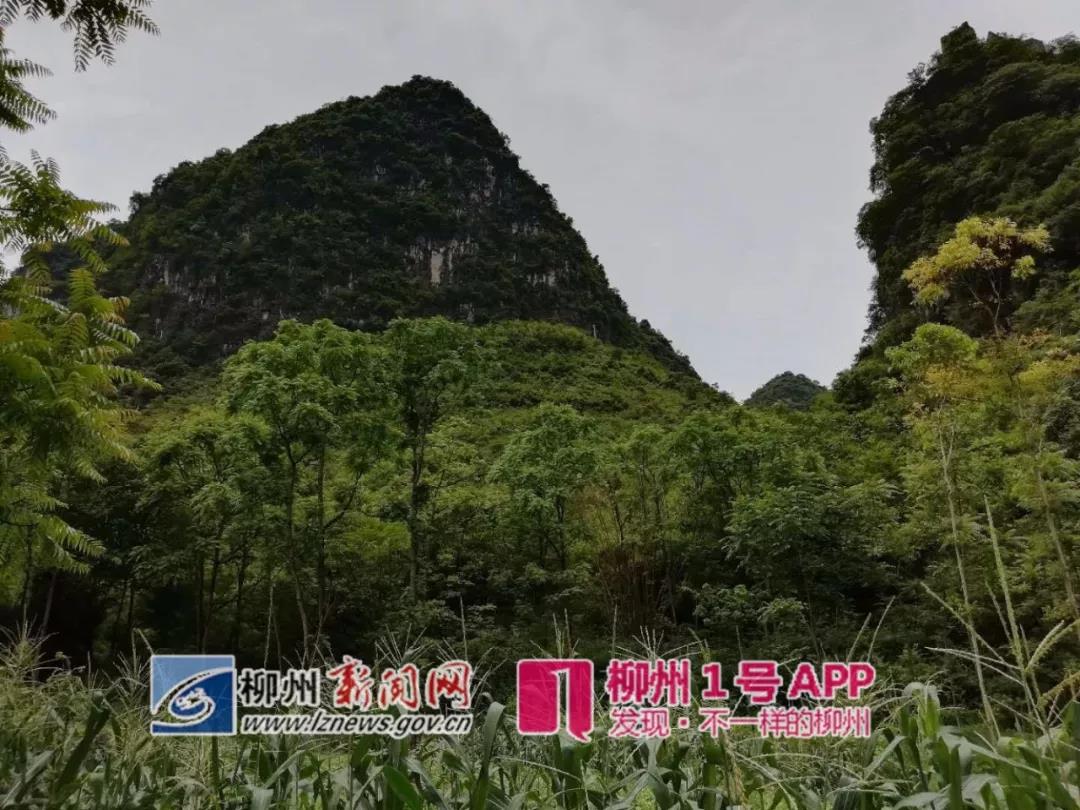 微信图片_20180605152250.jpg 微信图片_20180605152250.jpg