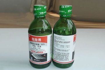 t018da255c50c2006c4.jpg t018da255c50c2006c4.jpg