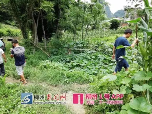 微信图片_20180606163755.jpg