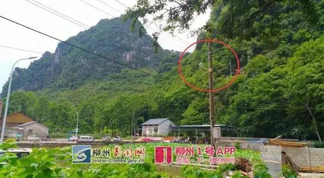微信图片_20180606163800.jpg 微信图片_20180606163800.jpg