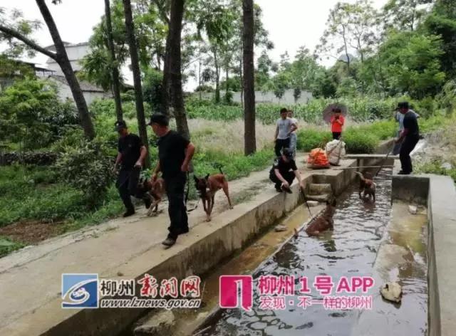 微信图片_20180606163809.jpg