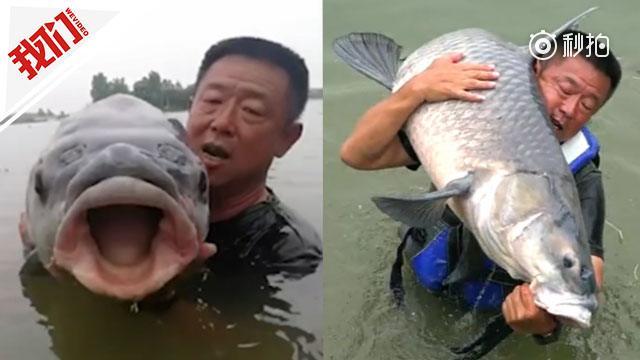 男子手竿钓获150斤巨型青鱼_钓友惊呼-该纪录50年难超越_via@新京报我们视频.jpg 男子手竿钓获150斤巨型青鱼_钓友惊呼-该纪录50年难超越_via@新京报我们视频.jpg