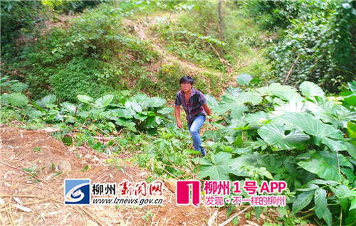 GetAttachment (1).jpg GetAttachment (1).jpg