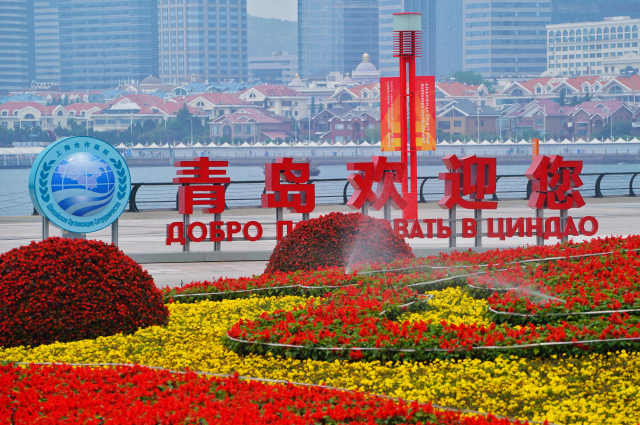 习近平主席推动上合组织发展五年间