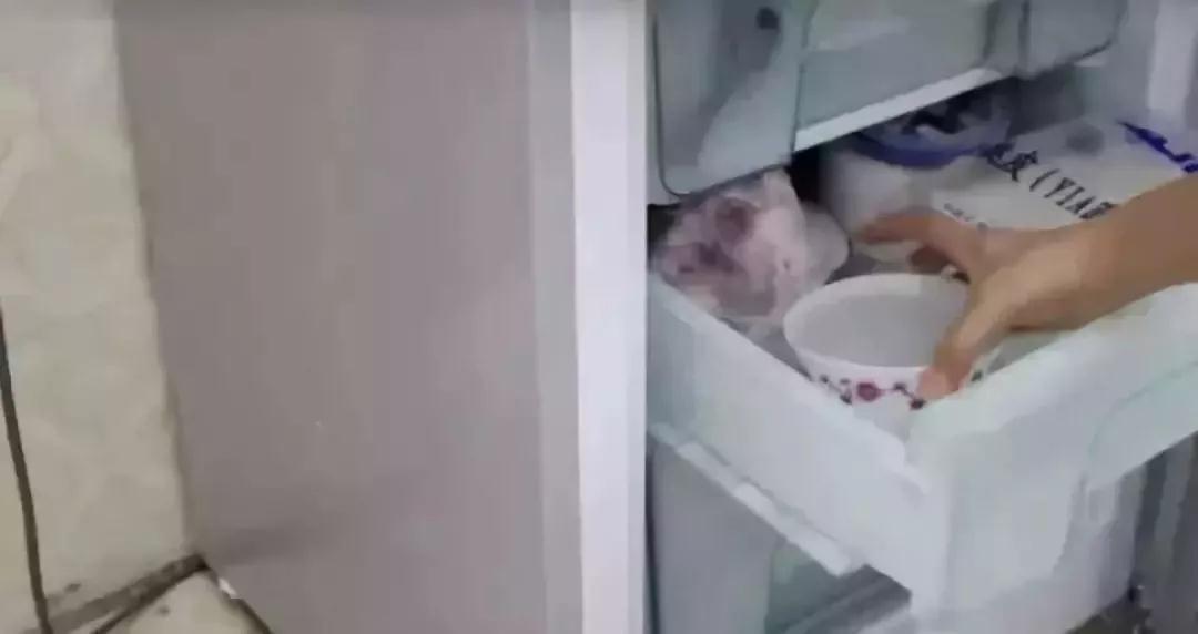 冰箱里放个它，5年不用清洁，不结霜还特省电，个个都夸好！