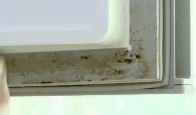 微信图片_20180610155227.gif 微信图片_20180610155227.gif