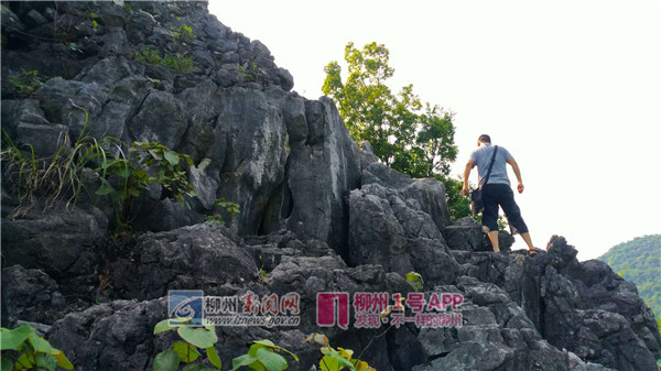 1号追踪|记者探访小姐妹遇害案藏尸点寻找线索，现场怪石嶙峋