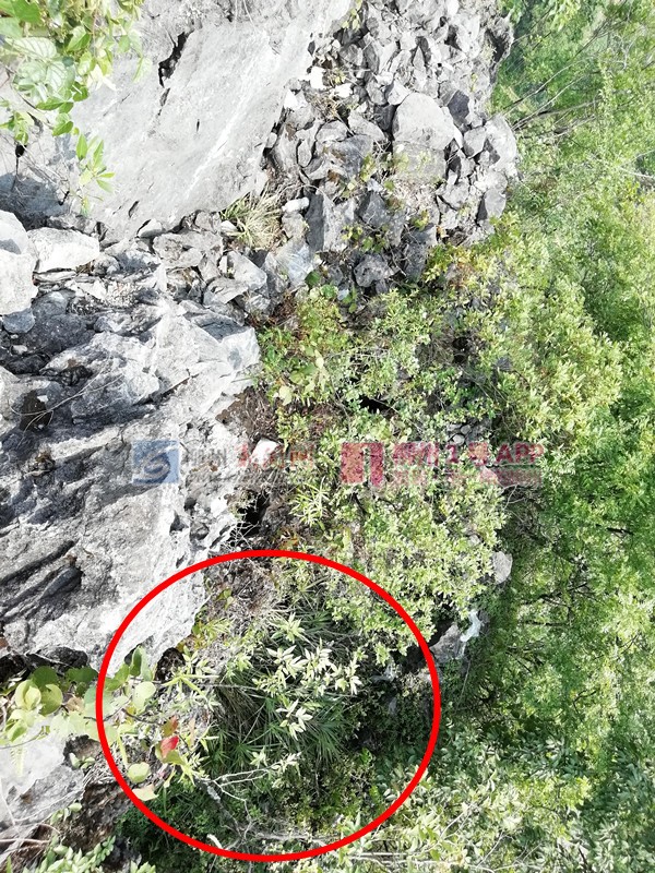 微信图片_20180610173505.jpg 微信图片_20180610173505.jpg