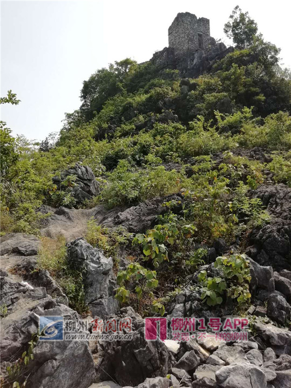 微信图片_20180610172838.jpg 微信图片_20180610172838.jpg