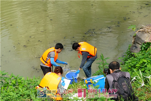监测人员在龙屯桥底对竹鹅溪进行水体采样.jpg 监测人员在龙屯桥底对竹鹅溪进行水体采样.jpg