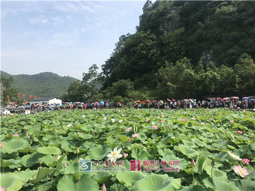 微信图片_20180615100314.jpg