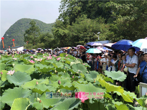 微信图片_201806151003095.jpg