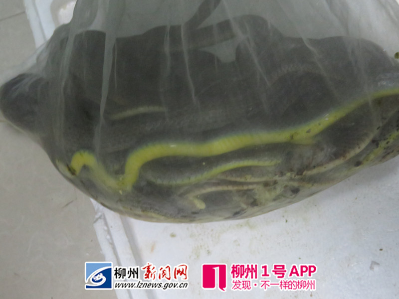 GetAttachment (1)_副本.jpg GetAttachment (1)_副本.jpg