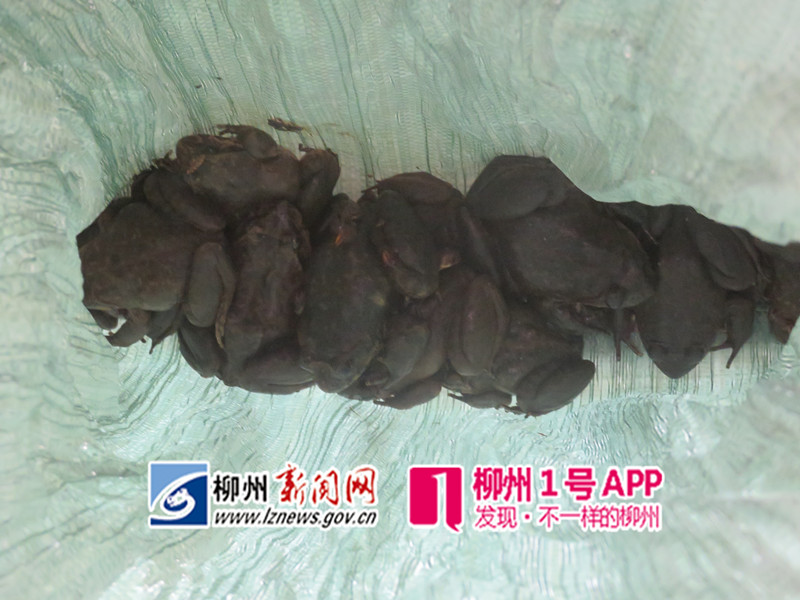 GetAttachment (5)_副本.jpg GetAttachment (5)_副本.jpg