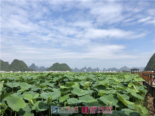 微信图片_201806151017093.jpg