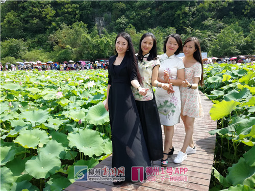 微信图片_20180615104053.jpg