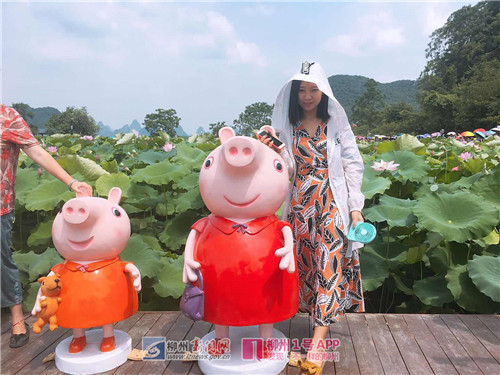 微信图片_20180615110456.jpg
