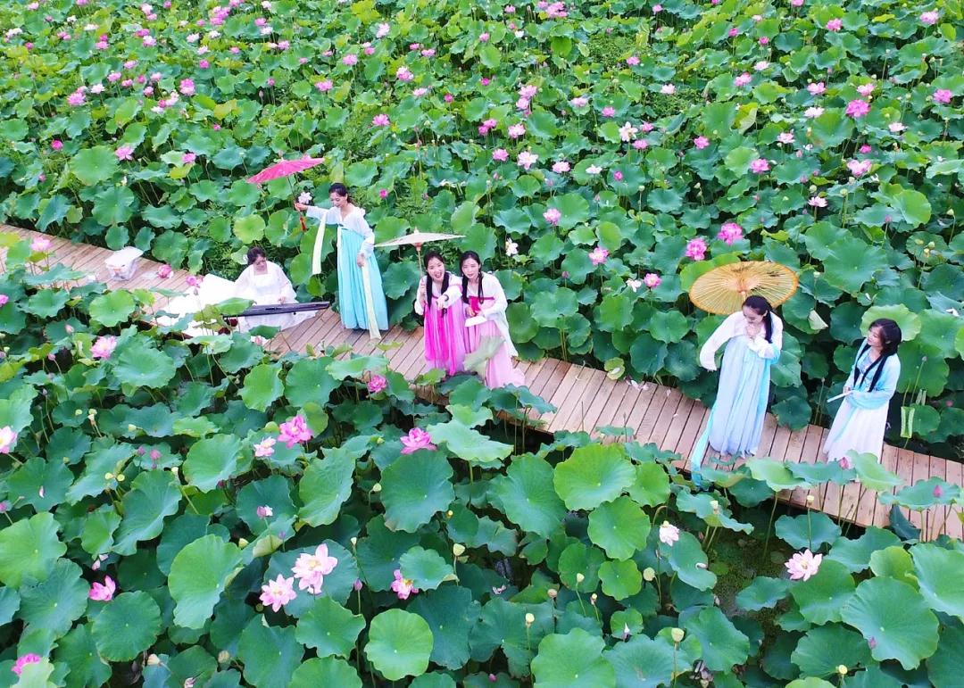 微信图片_20180618084426.jpg