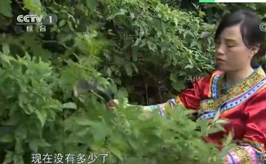 微信截图_20180618115240.png 微信截图_20180618115240.png