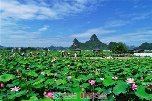 微信图片_20180618192800.jpg 微信图片_20180618192800.jpg
