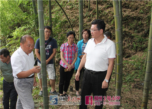 康哥非常认可王贵田带动乡亲们致富的成绩.jpg 康哥非常认可王贵田带动乡亲们致富的成绩.jpg