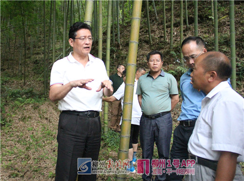 康哥非常认可王贵田带动乡亲们致富的成绩。.jpg 康哥非常认可王贵田带动乡亲们致富的成绩。.jpg