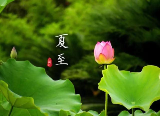 微信图片_20180621074734.jpg