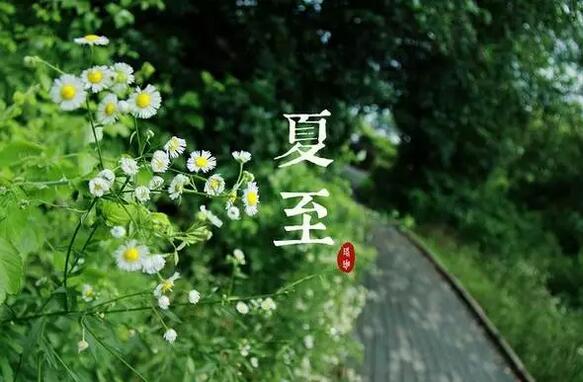 QQ截图20180621074846.jpg