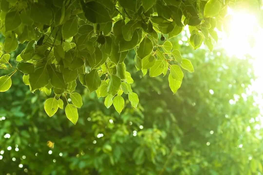 微信图片_20180621074921.jpg