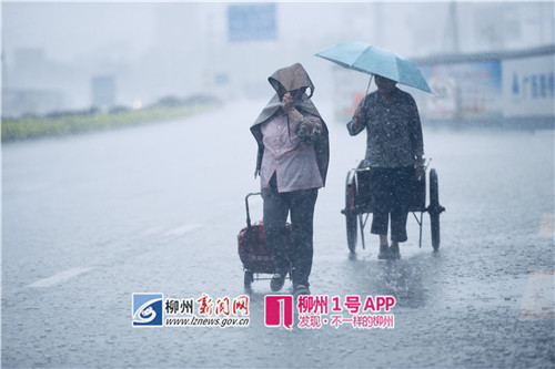 今明两天柳州将有强降雨，北部三县的朋友已提前体验了一把