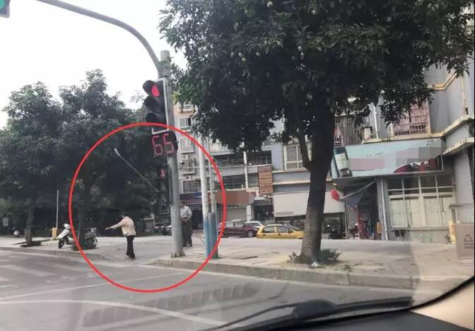 曝光！都说了路边的芒果不要摘，这些人还是不听……