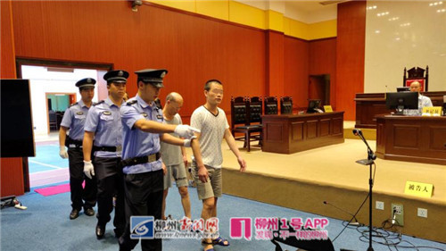 图为熊金马、熊祯响、熊明等3名被告人被带上法庭.jpg