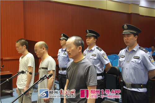 熊金马一案宣判现场.jpg